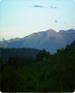 OFF-BEAT NILGIRIS