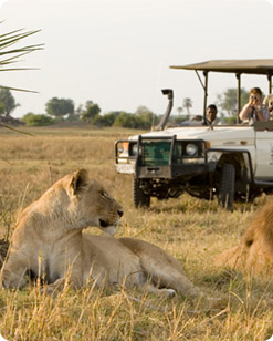 Corbett experience