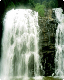 Relaxation in CoorG